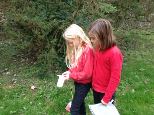 Orienteering at Castle Howard.