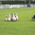 Countryside Day June 2014_08